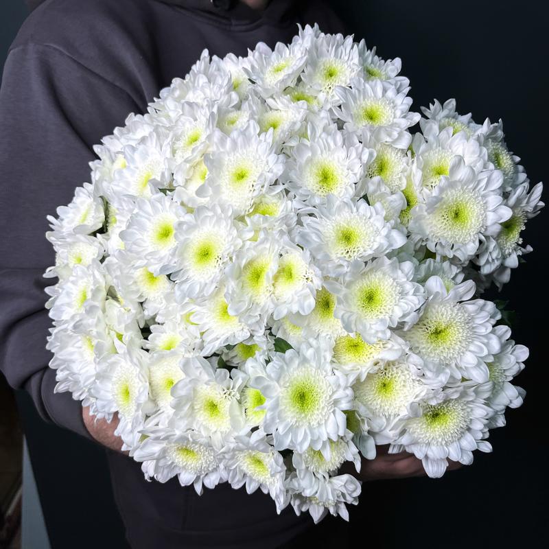 15 хризантем "Радость"