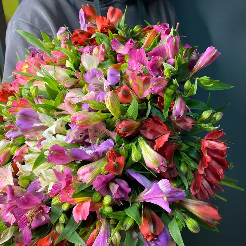 Альстромерия МИКС