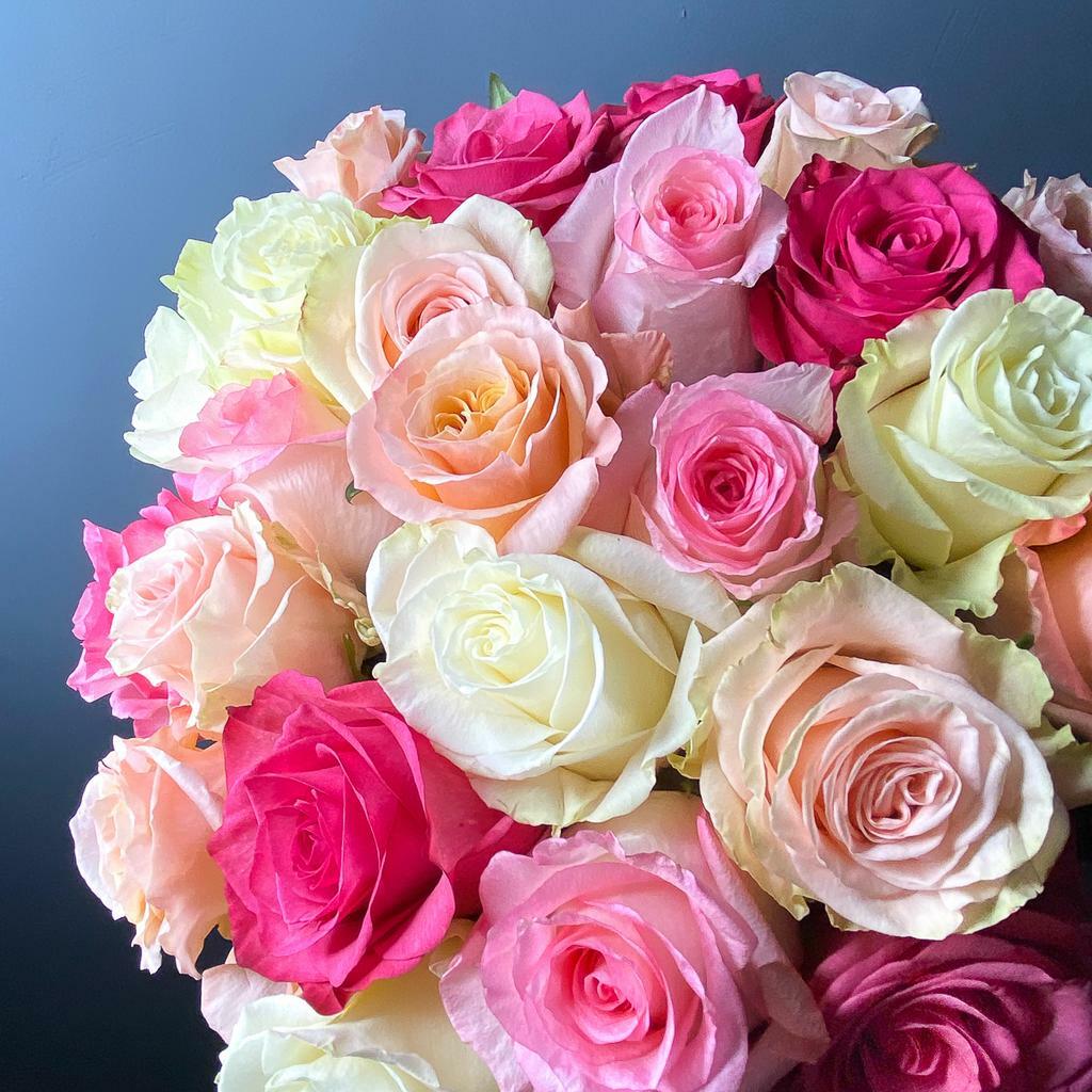 25 эквадорских роз МИКС