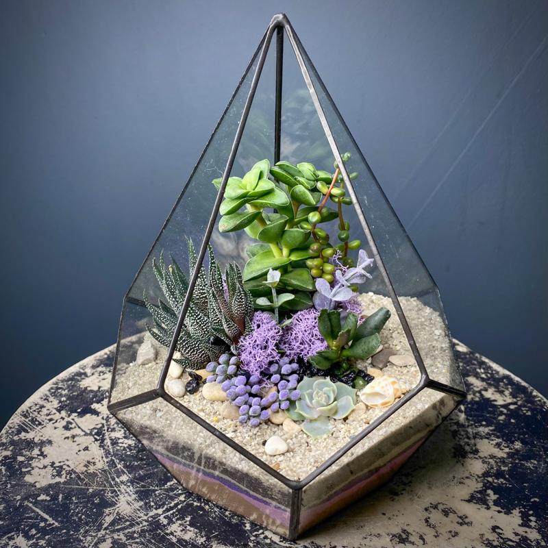 Флорариум 001