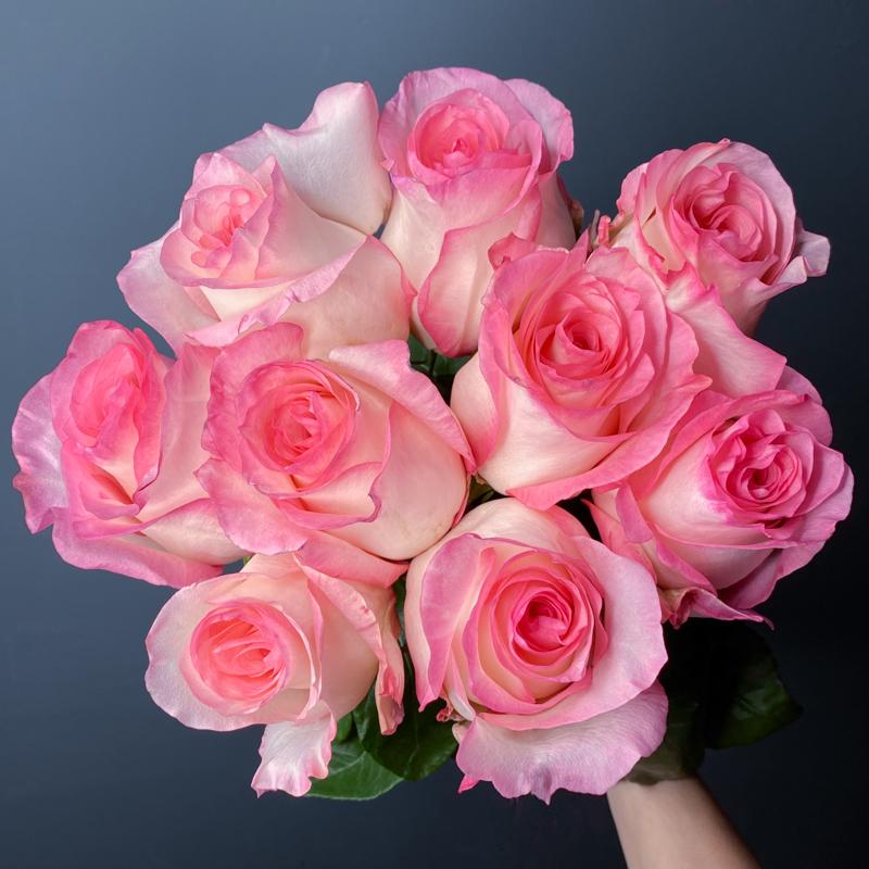 9 роз сорта "Булевар", Эквадор