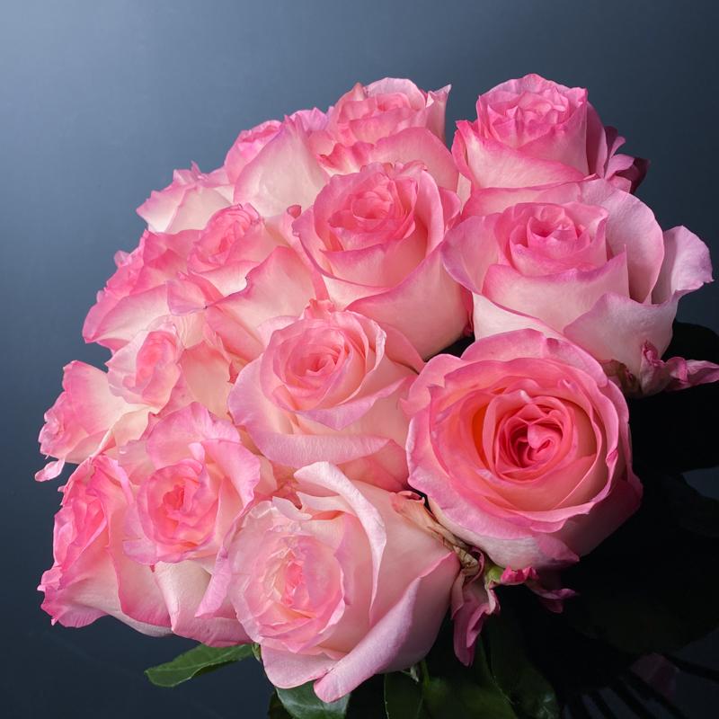 15 роз сорта "Булевард", Эквадор