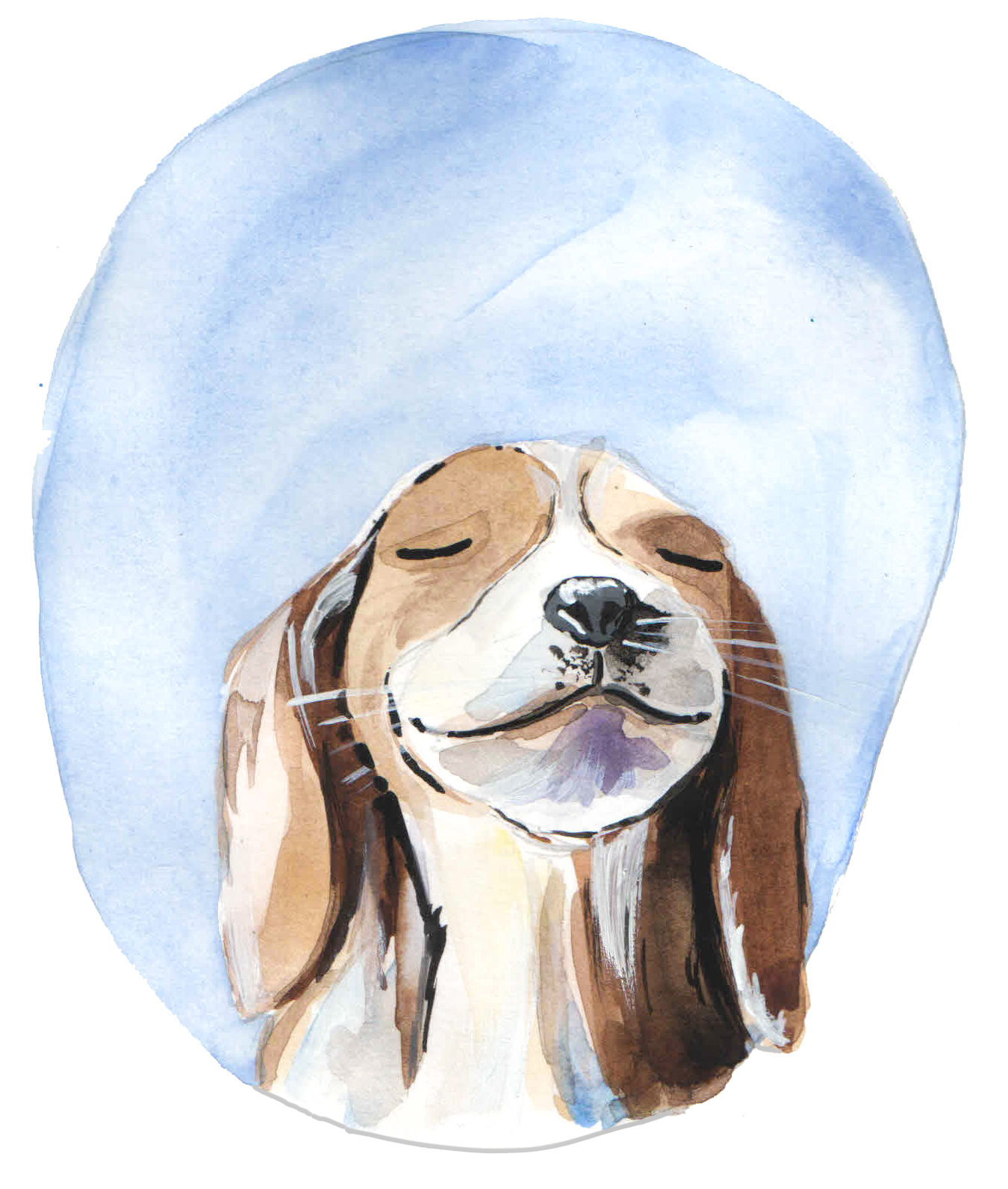 Худи или свитшот с росписью - Малыш Бигль