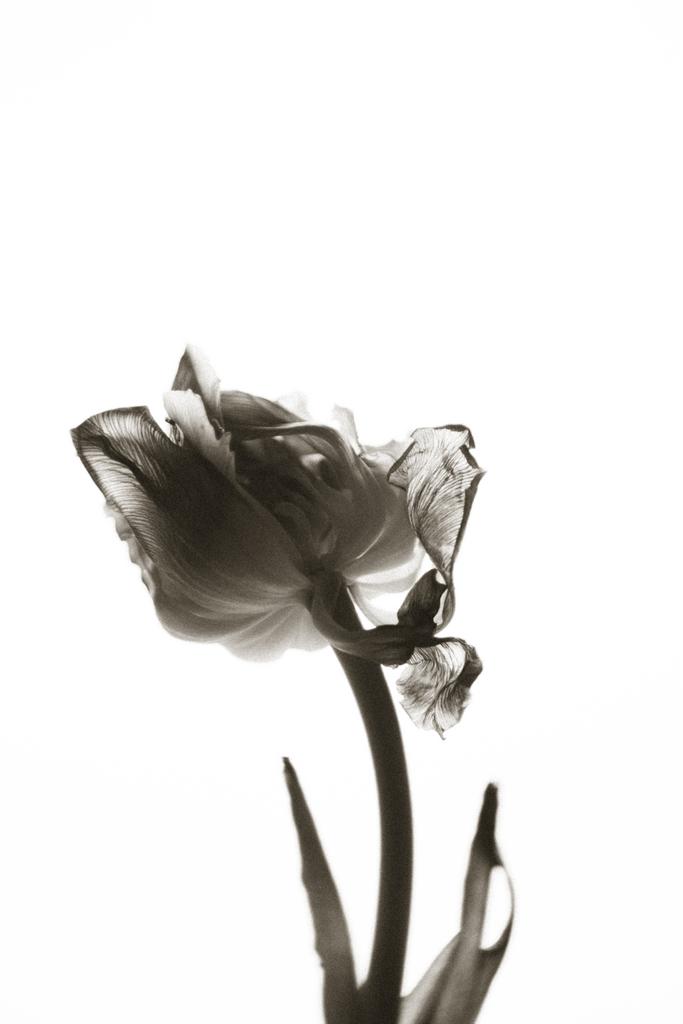 ПРИНТ "ВЗДОХ"