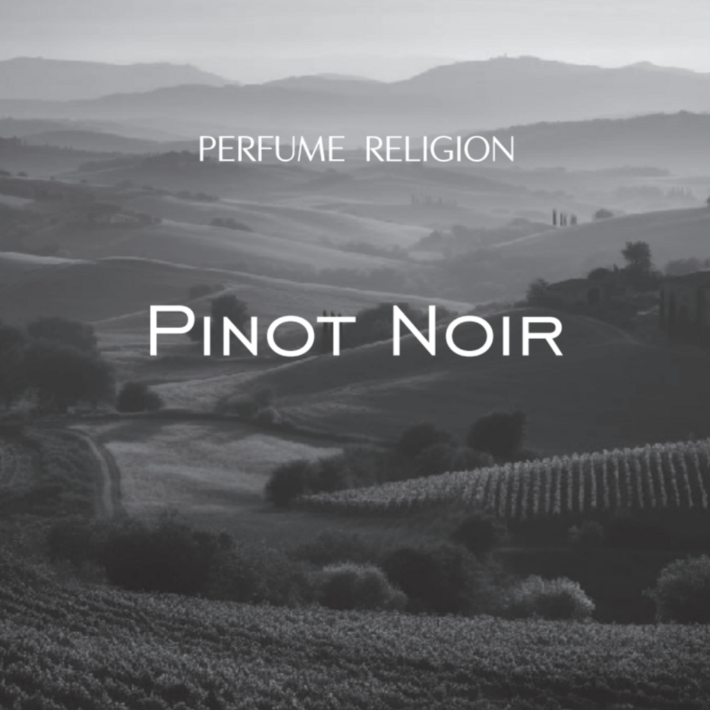 Диффузор PINOT NOIR | 100 мл