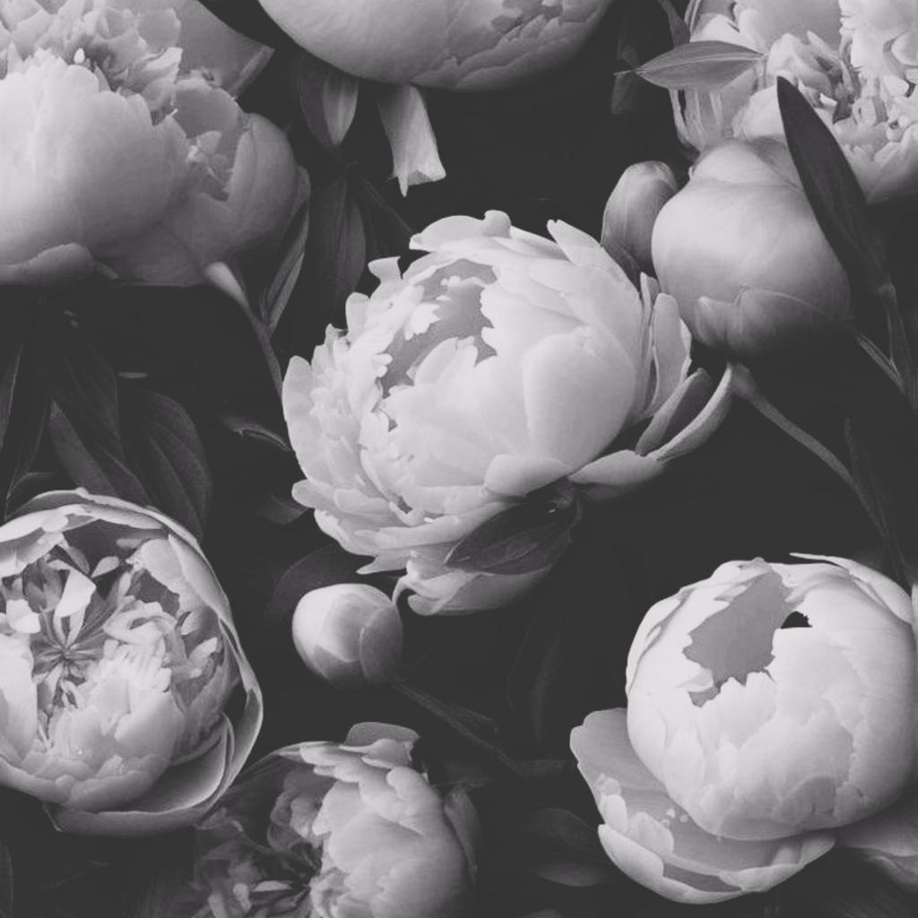 Парфюм CEREMONY | 100 мл