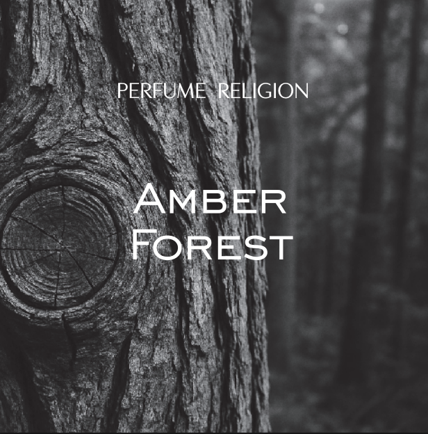 Диффузор AMBER FOREST | 100 мл