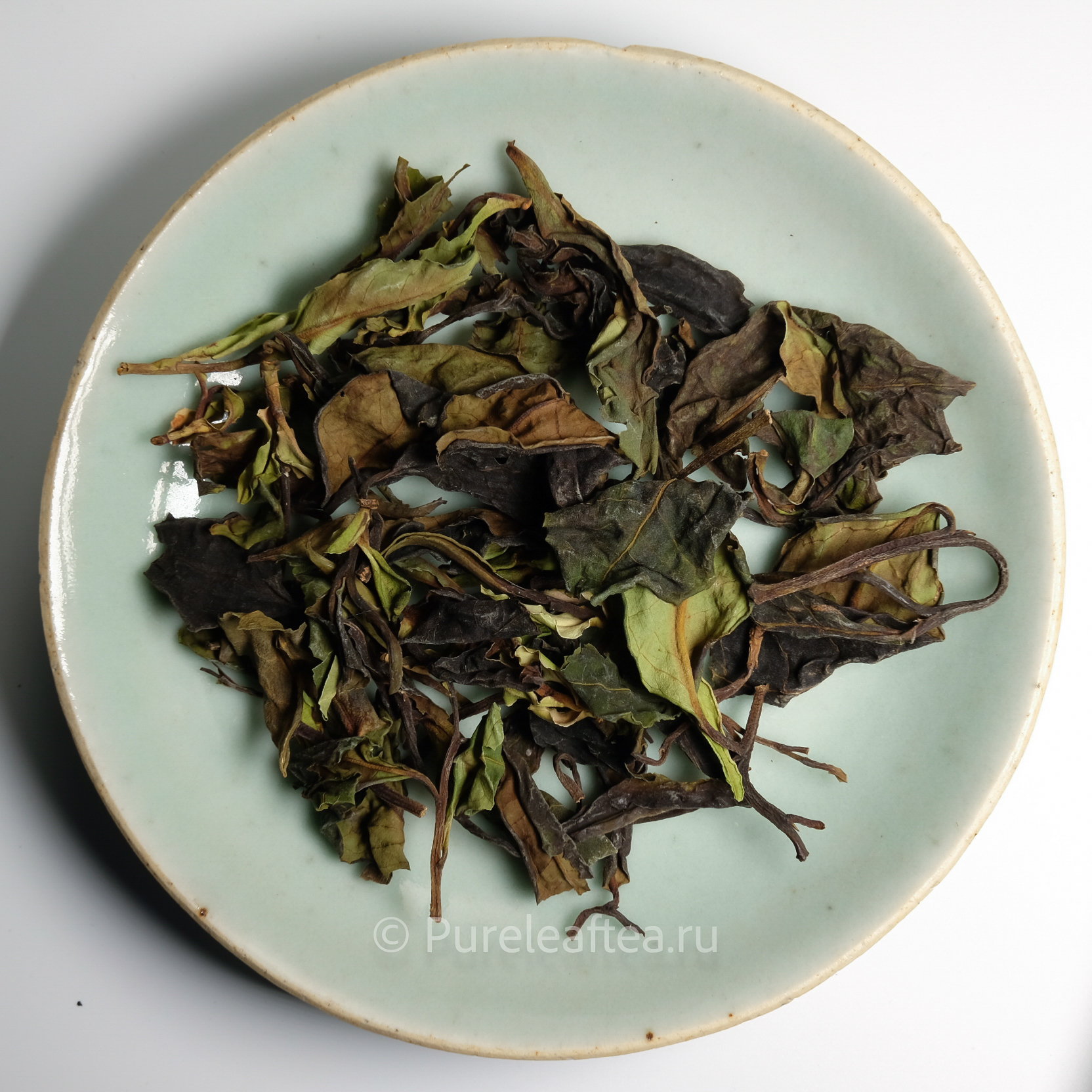 Белый Чай с Дикорастущего Одиночного дерева возрастом более 2000 лет с гор Айлао 2023г