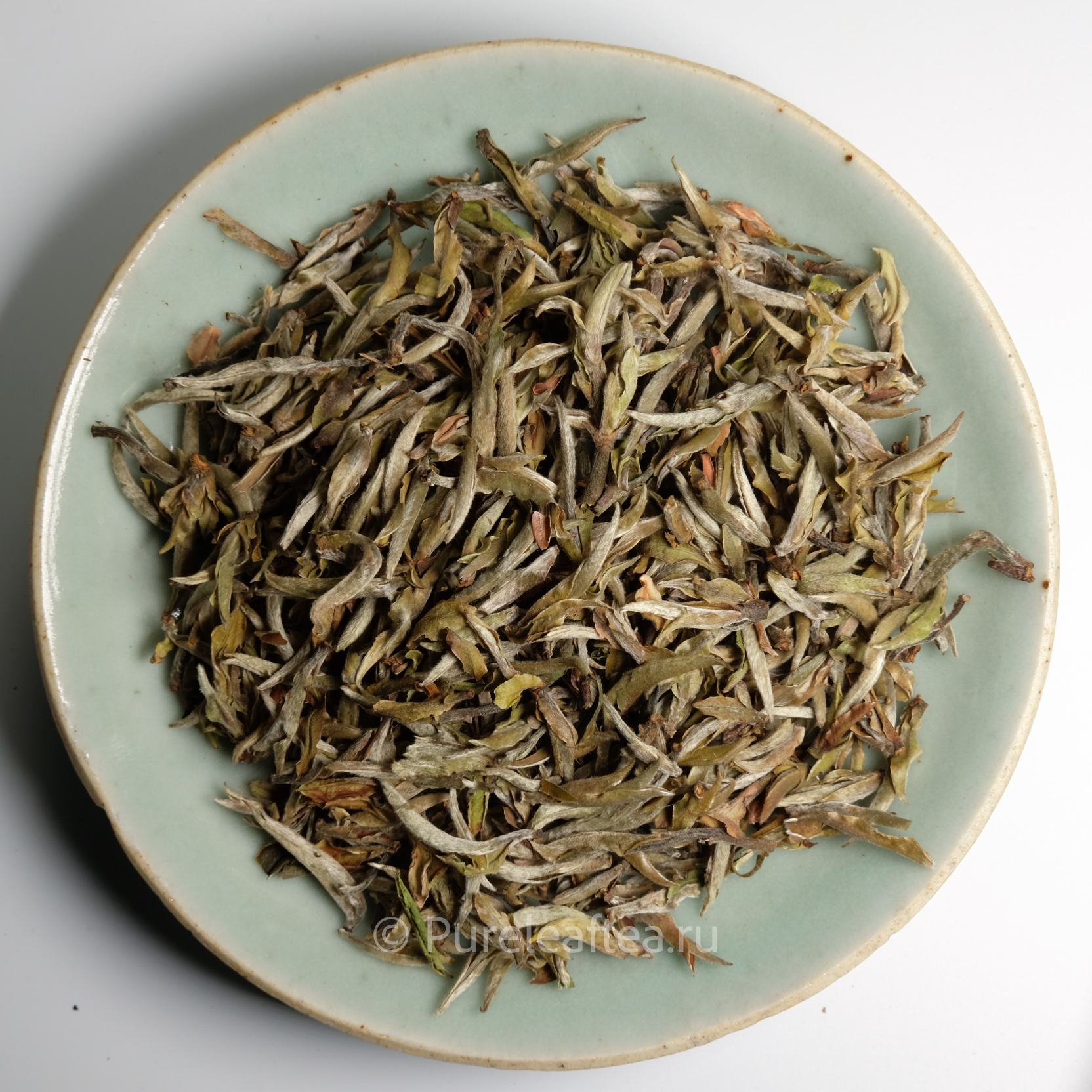 Белые почки с деревьев горы Уляншань 100гр