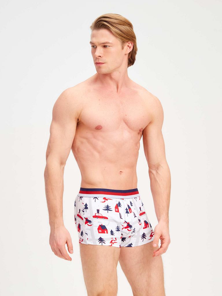 Выкройка "Боксеры Берн"