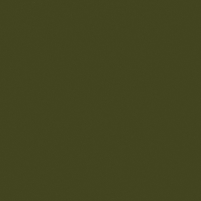 Краска Little Greene цвет 72 - Olive Colour