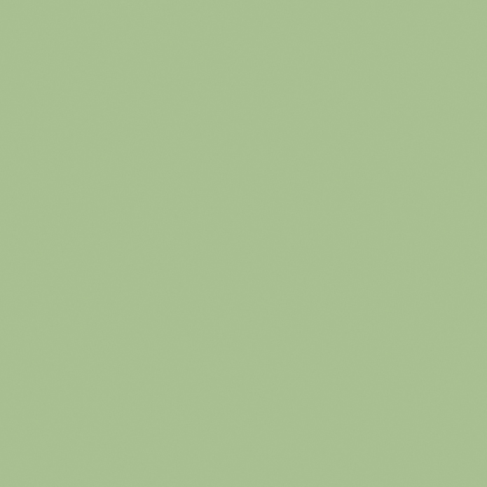 Краска Little Greene цвет 91 - Pea Green