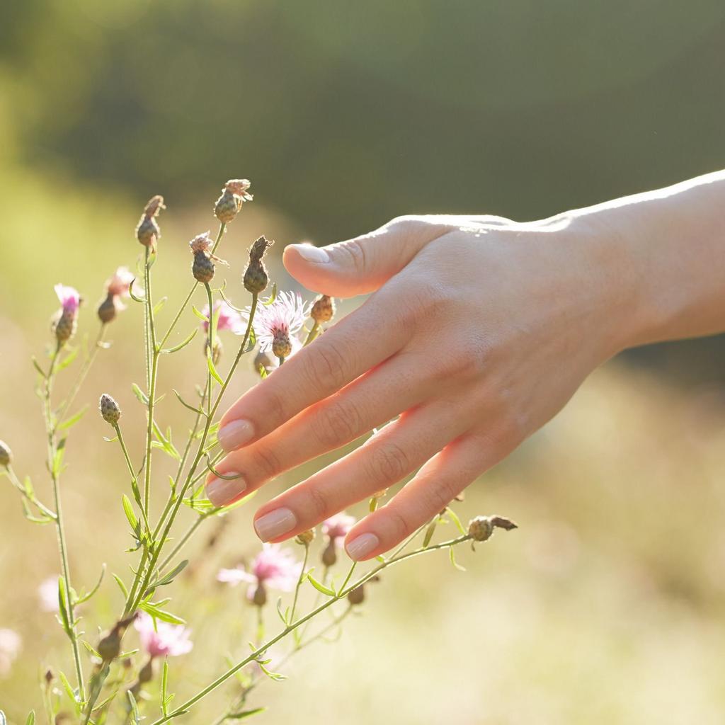 Эфир по сенсорике