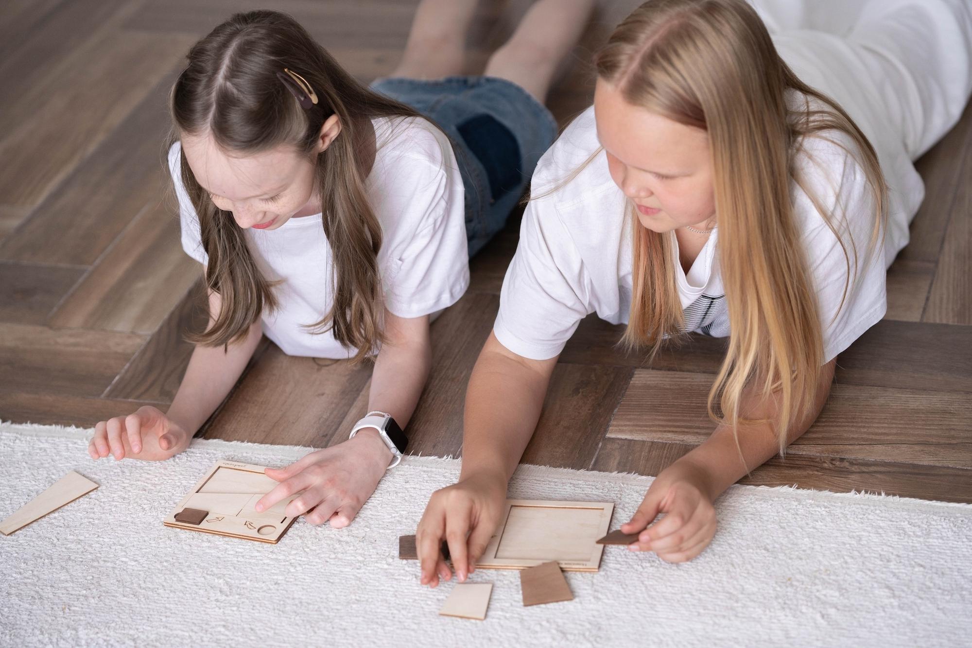 ПОМЕСТИ ДВА