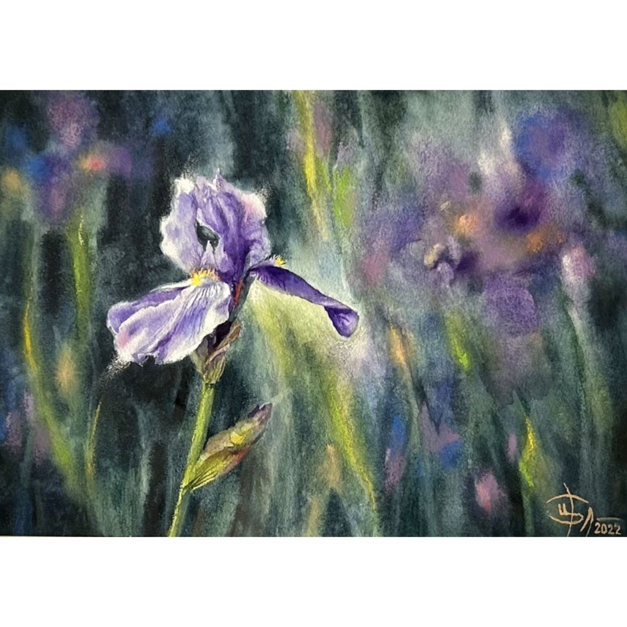 ФИОЛЕТОВЫЙ СОН