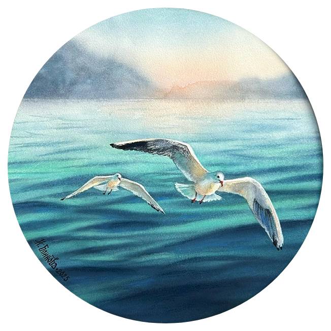 ПЕРВЫЙ ПОЛЁТ