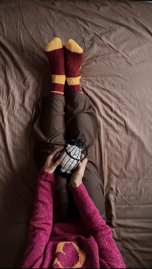 Совместник носки «Квиддич»