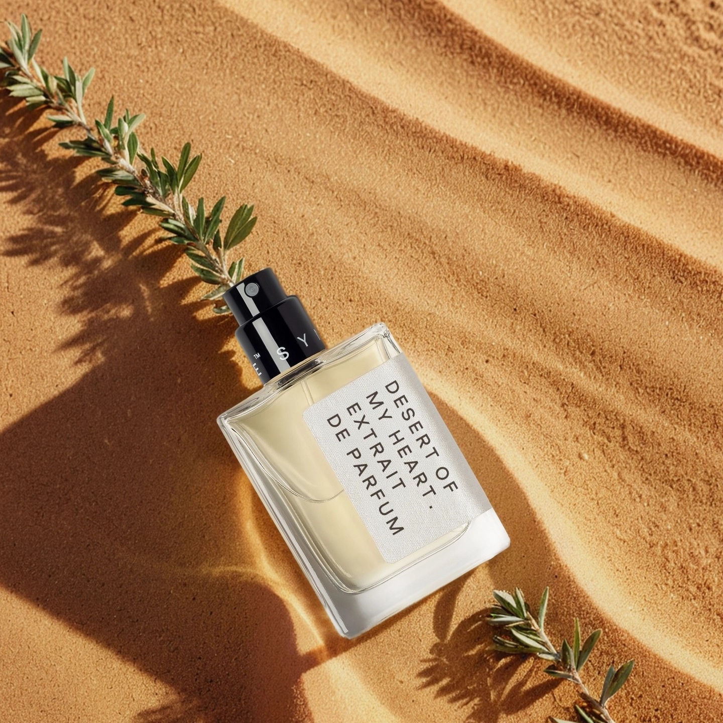 Desert of my heart, Synonyme