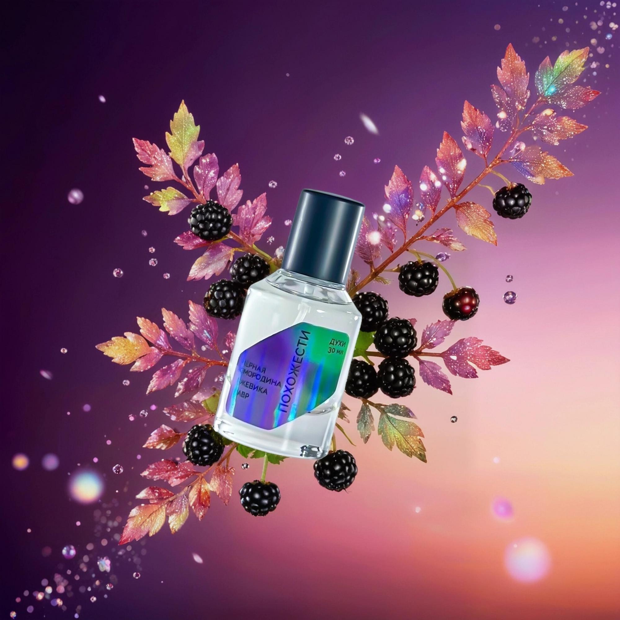 Чёрная смородина/Ежевика/Лавр, Похожести