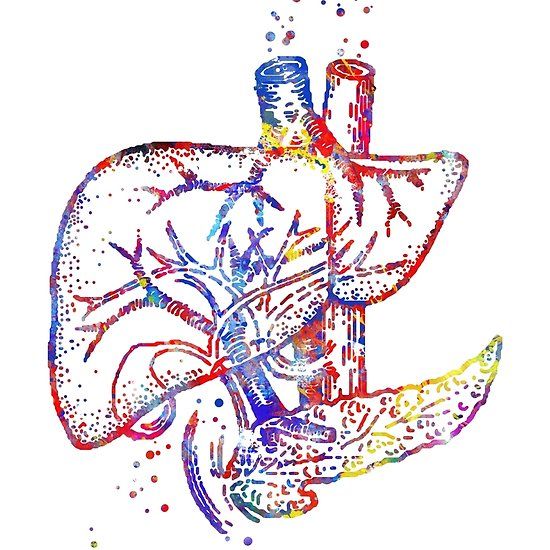 19 - 21 декабря 2025 Махачкала. «Внутренние органы, часть №2»