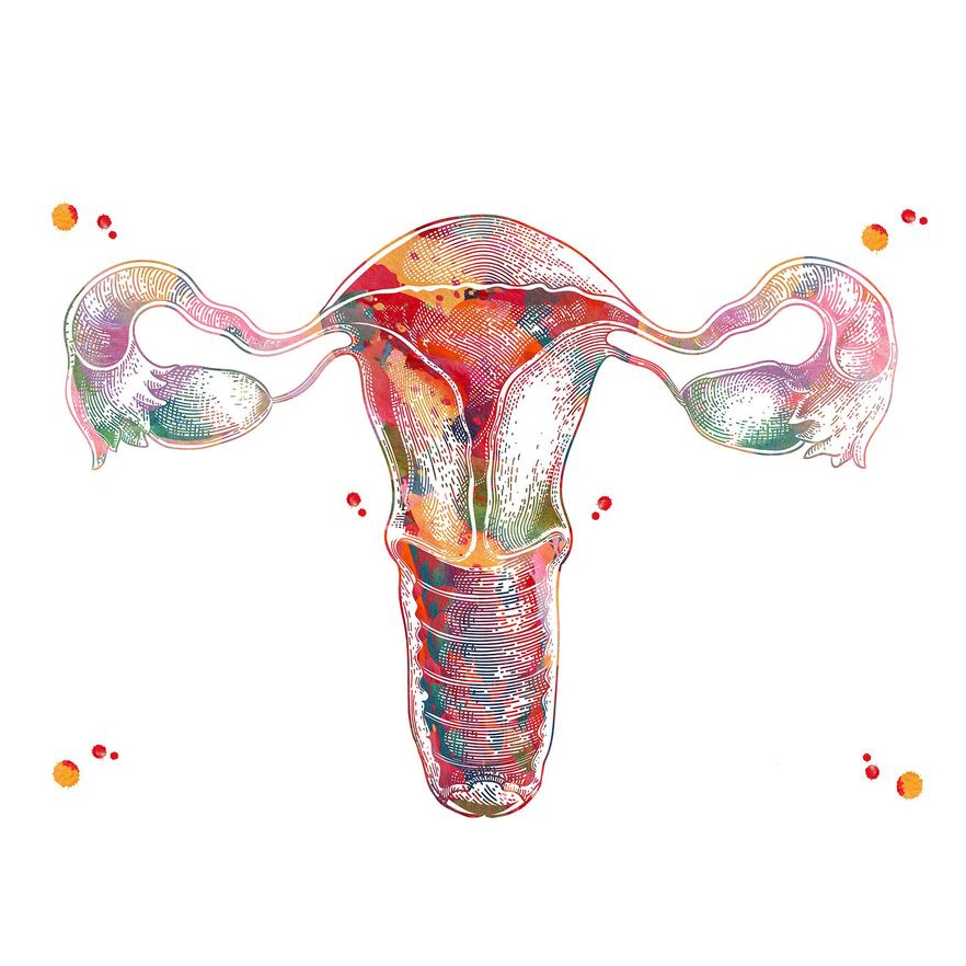 16 - 17 мая 2026 Москва. Семинар №7. «Женская репродуктивная система»