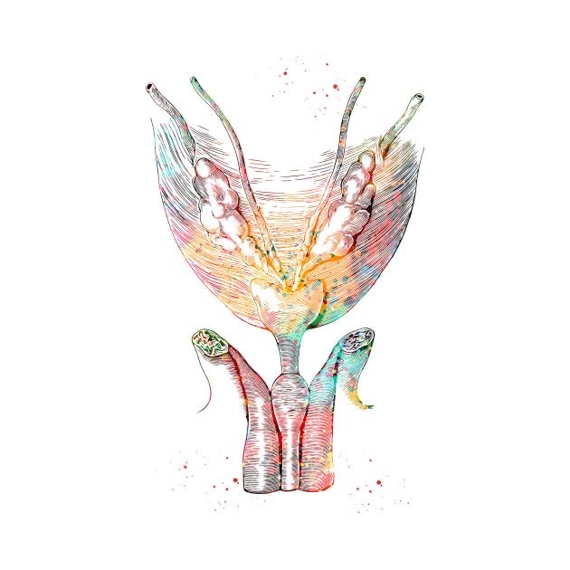 13 - 14 июня 2026 Москва. Семинар №8. «Мочевой пузырь»