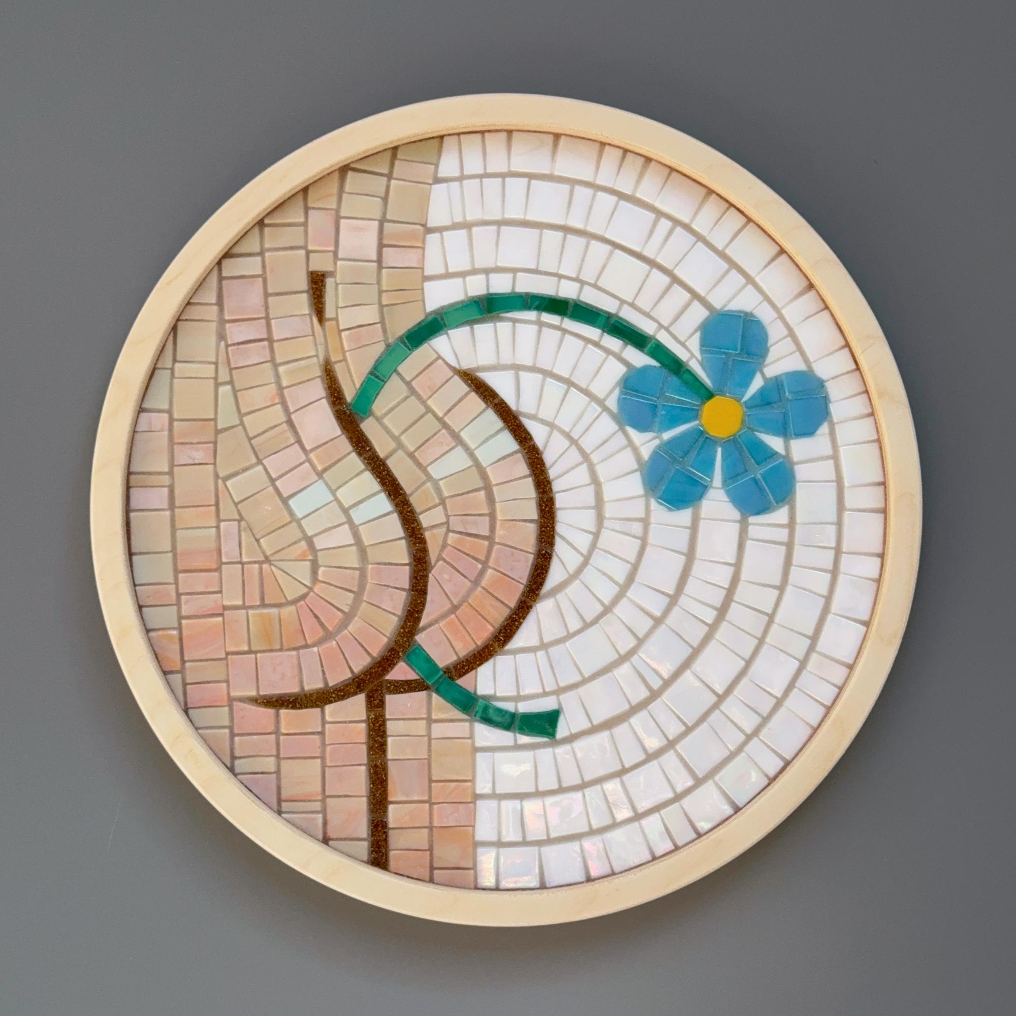 ВЕСЁЛАЯ ЖОПКА #5