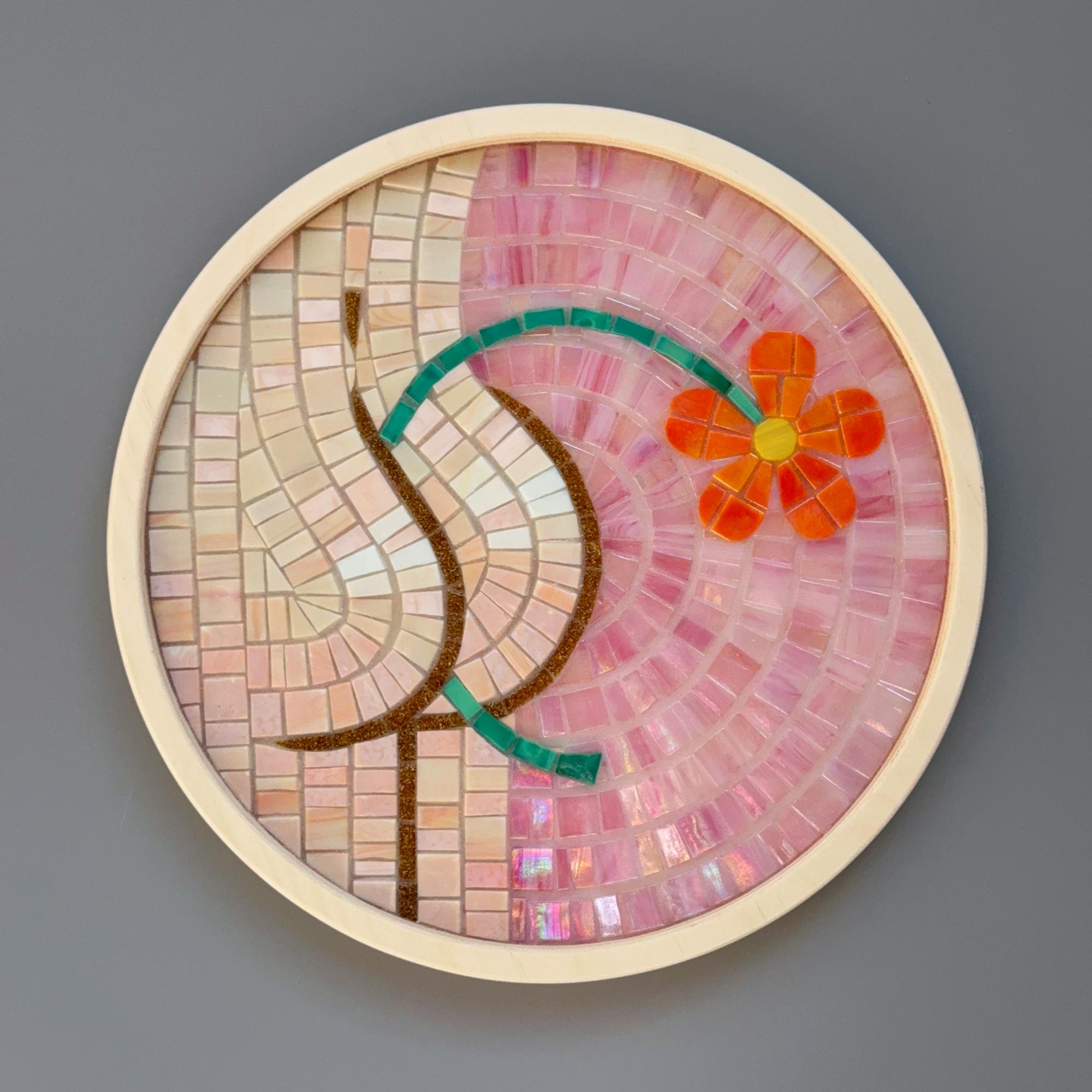 ВЕСЁЛАЯ ЖОПКА #6