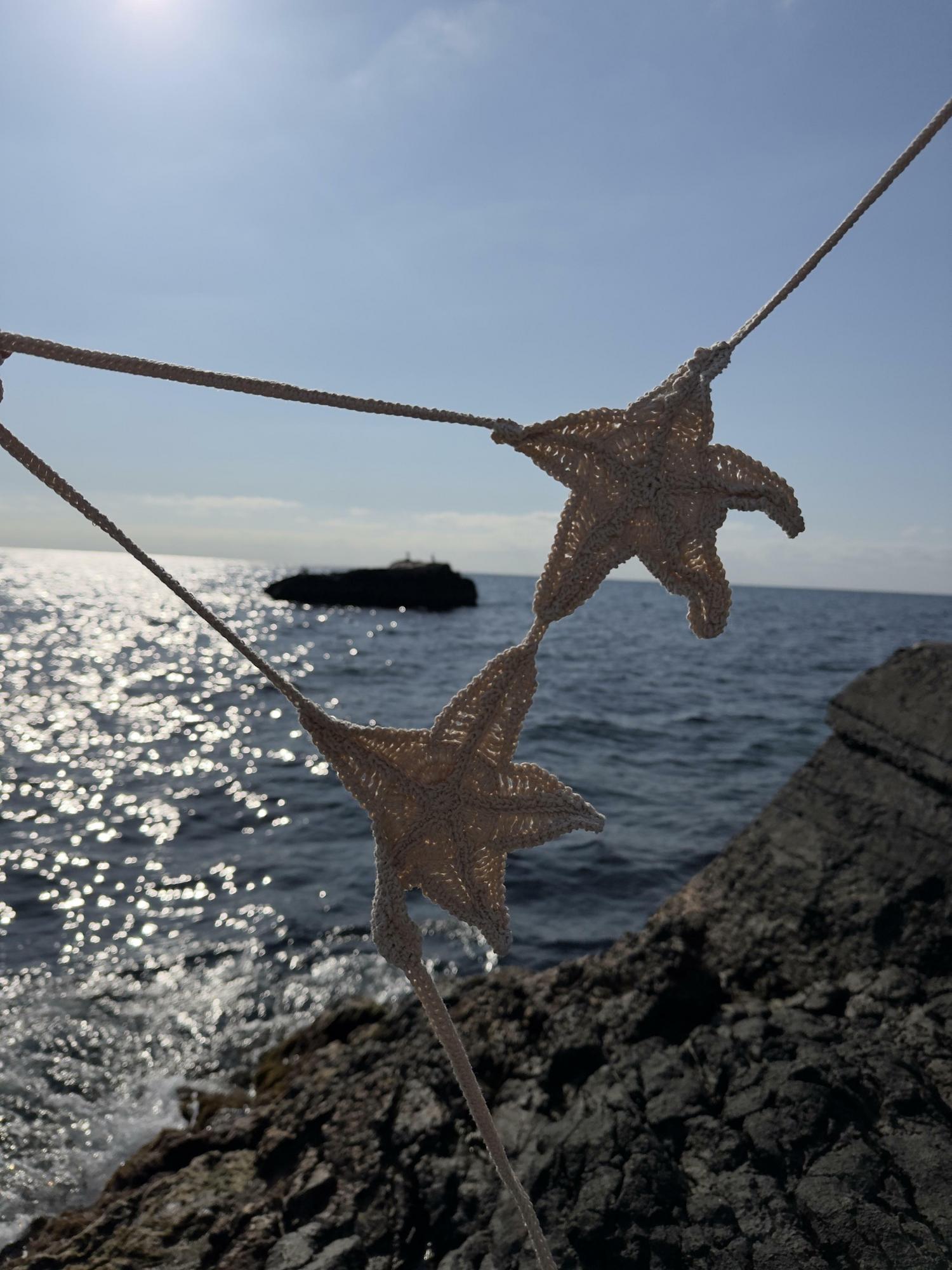 Топ морские звезды