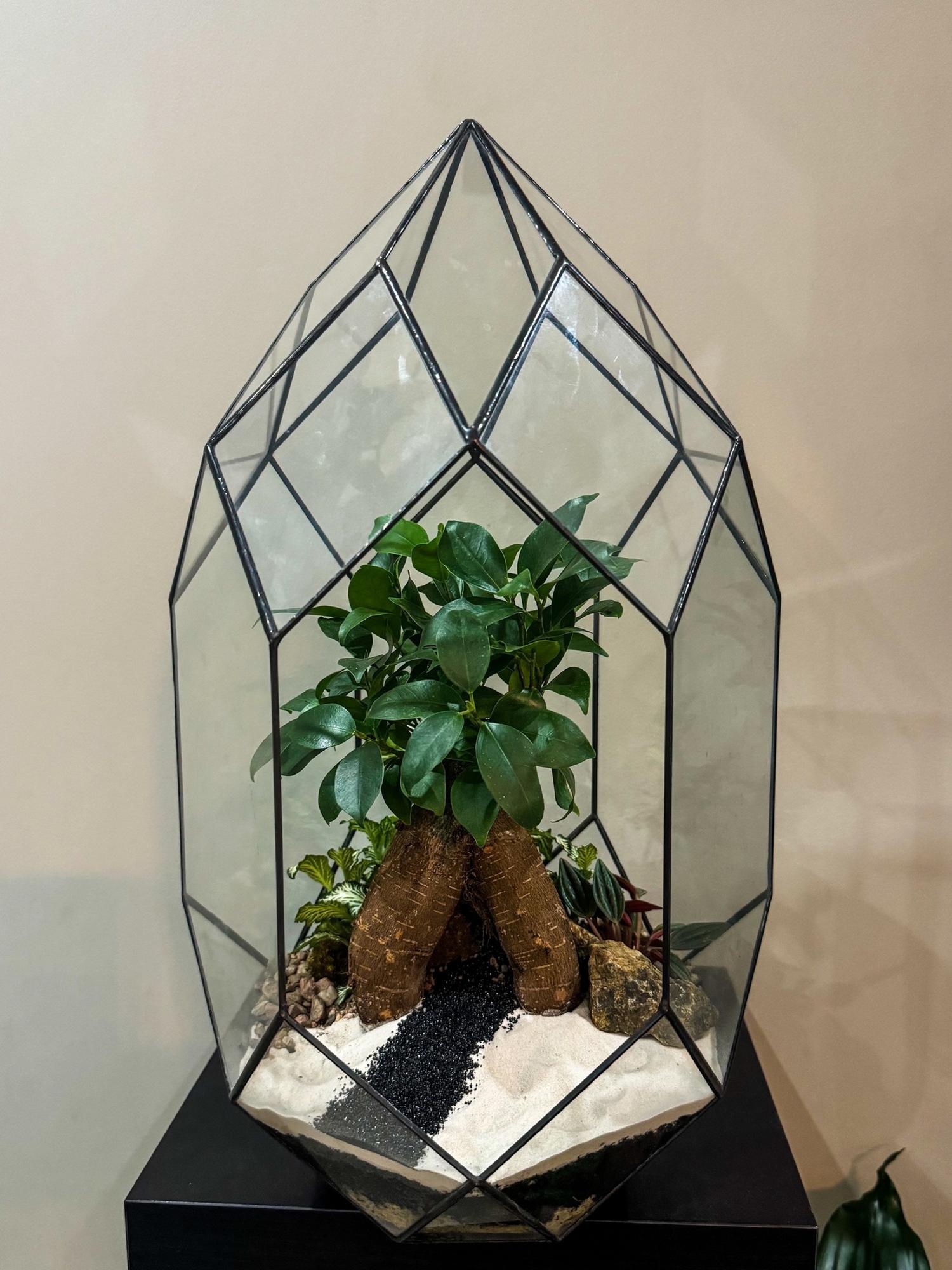 Бонсариум "Фаберже" с Фикусом Микрокарпа