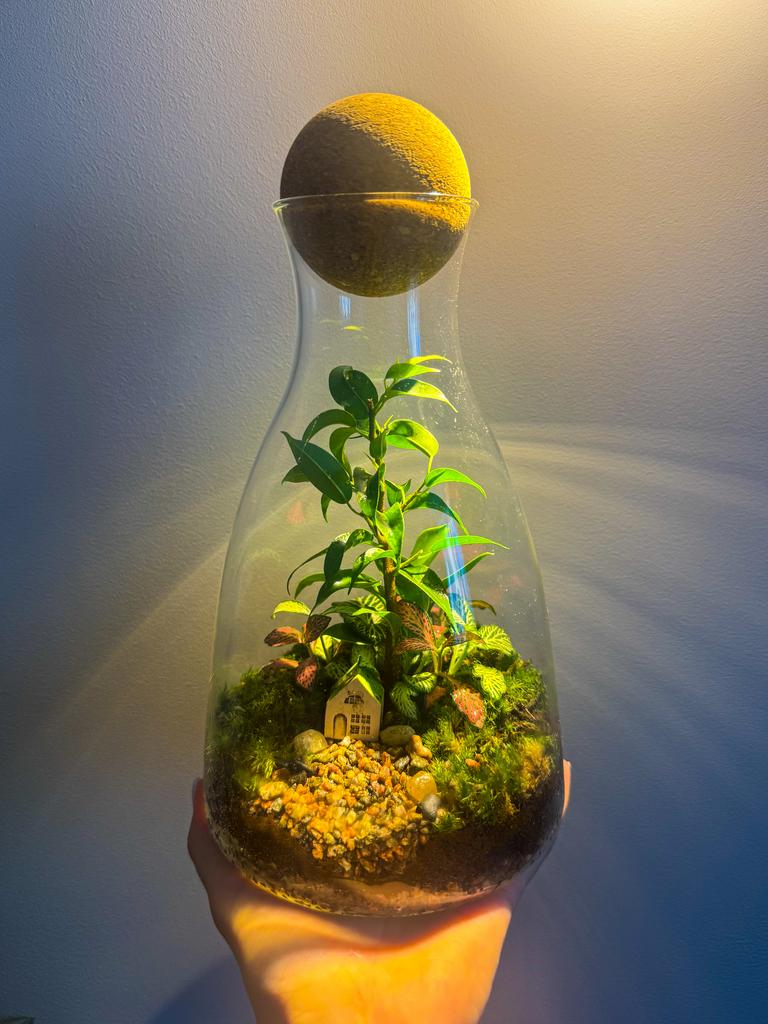 Закрытая экосистема "Домик"