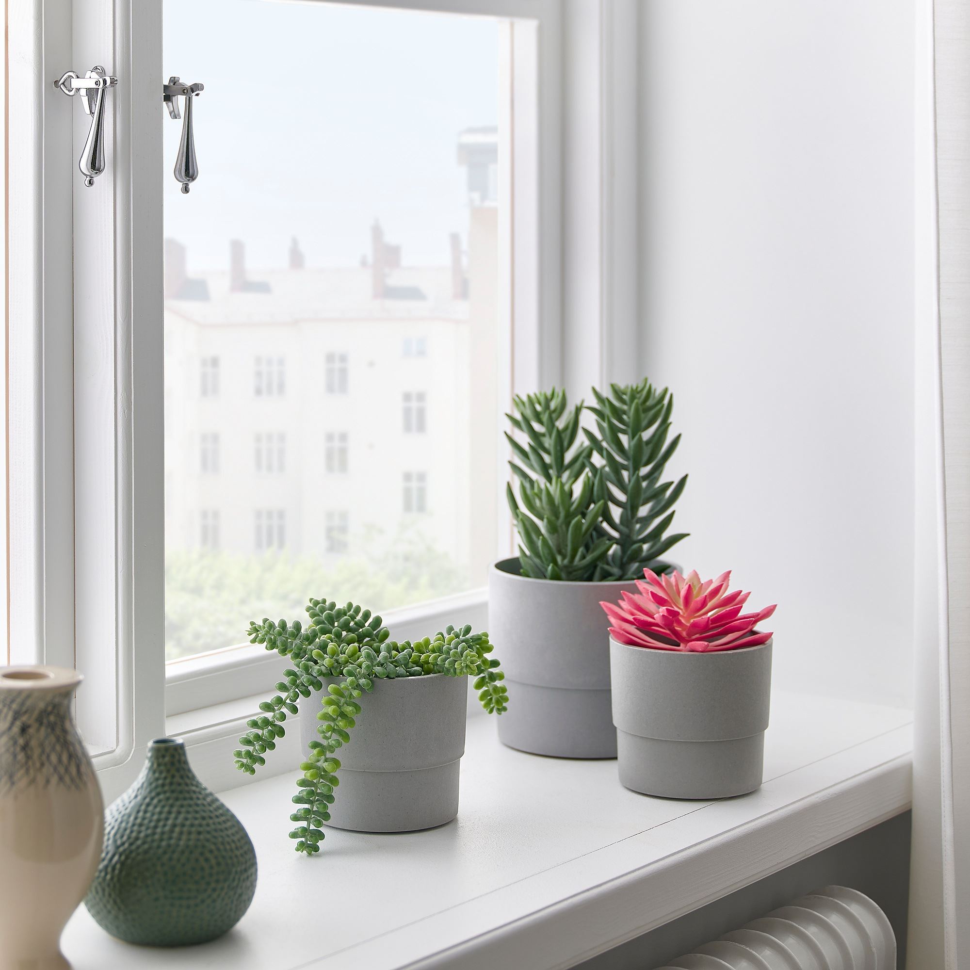 FEJKA IKEA Искусственное растение в горшке, кактус/разноцветный, 3 шт