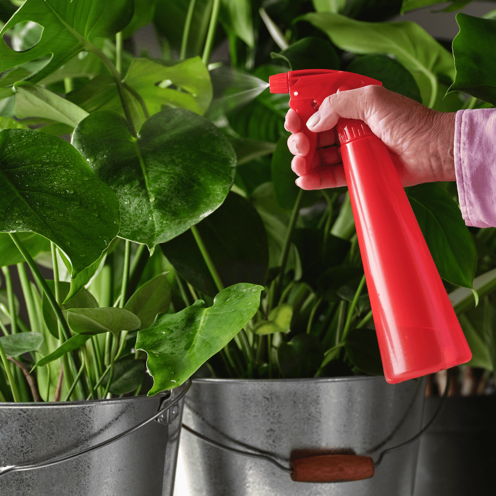 TOMAT IKEA Sprey qabı, açıq - qırmızı, 350 ml