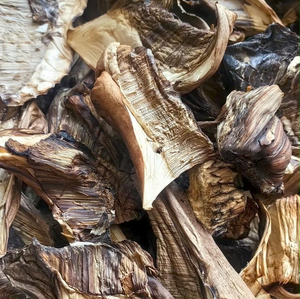 Сушеное грибное ассорти