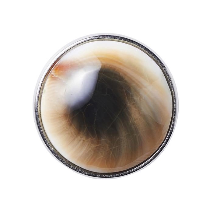 Раковина Шивы