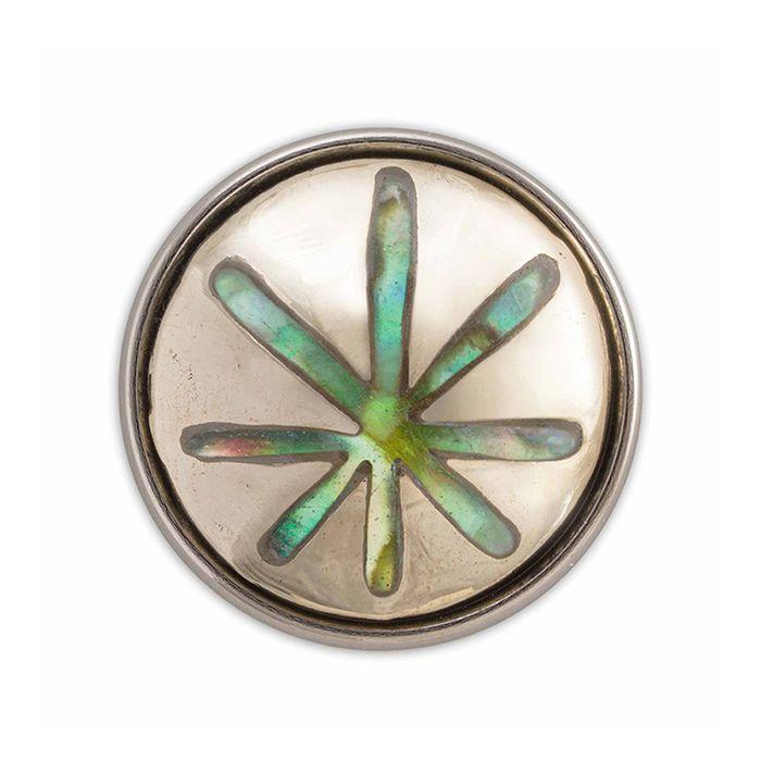 Круг жизни абалон