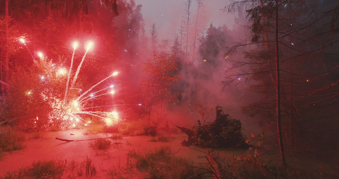 FIREWORKS ON THE SWAMP #3