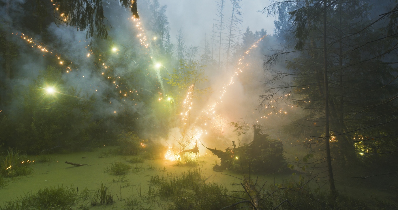 FIREWORKS ON THE SWAMP #4