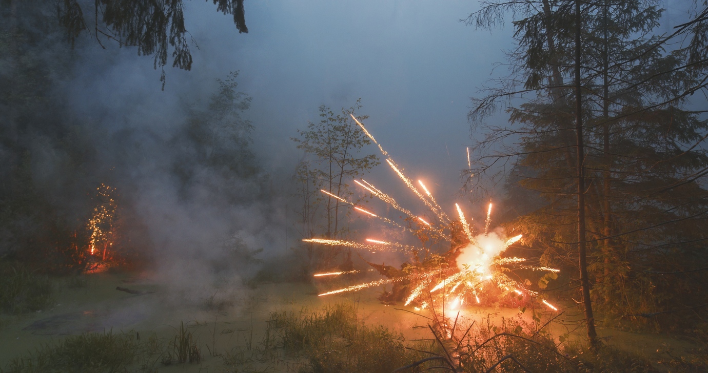 FIREWORKS ON THE SWAMP #11