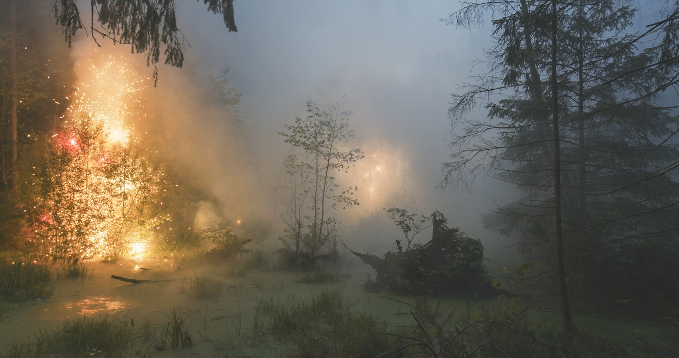 FIREWORKS ON THE SWAMP #12