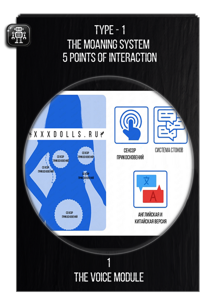 voice module for a sex doll