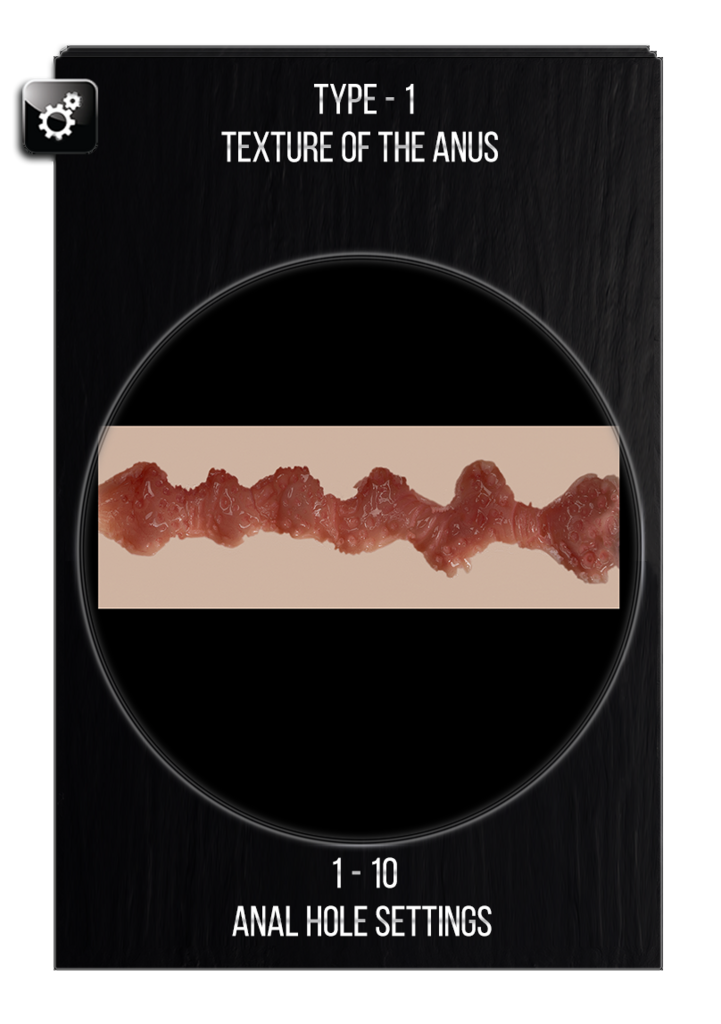 Anal Hole Settings