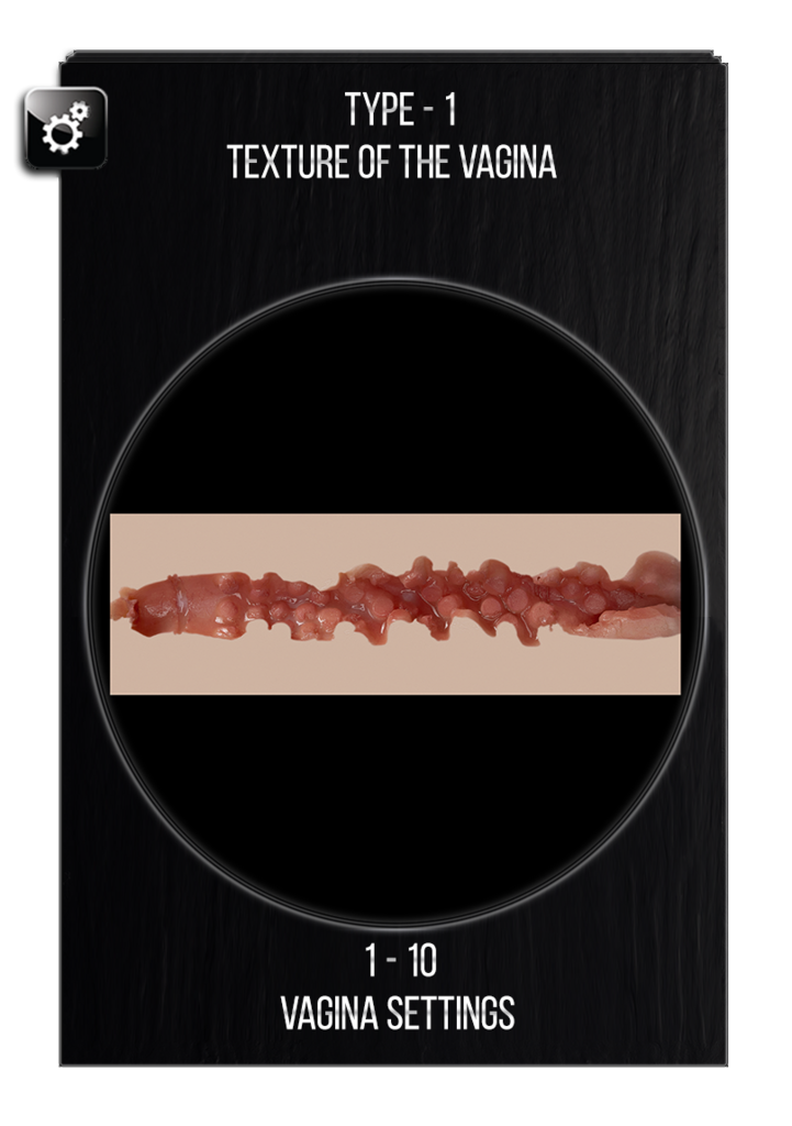 Sex doll vagina settings