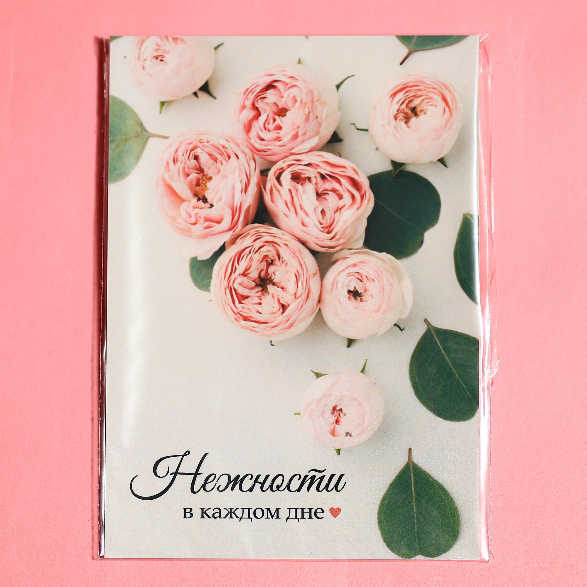 Нежности в каждом дне