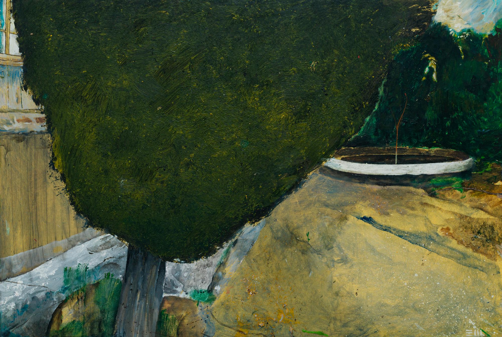 Дикий палисадник