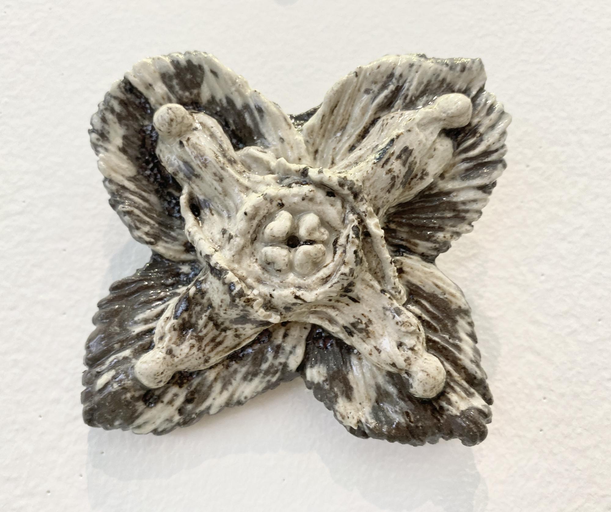 Epimedium (Цветок эльфов)