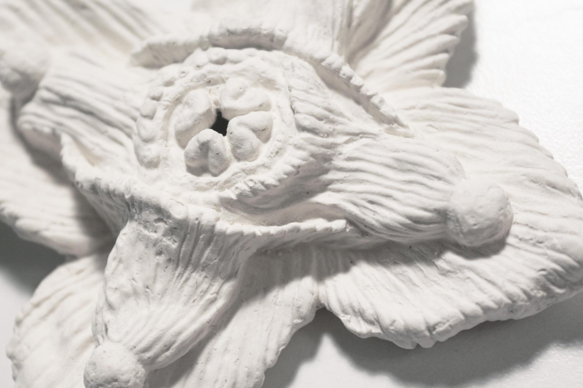 Epimedium (Цветок эльфов)