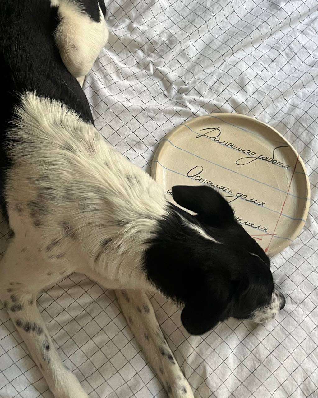 Тарелка "Домашняя работа"