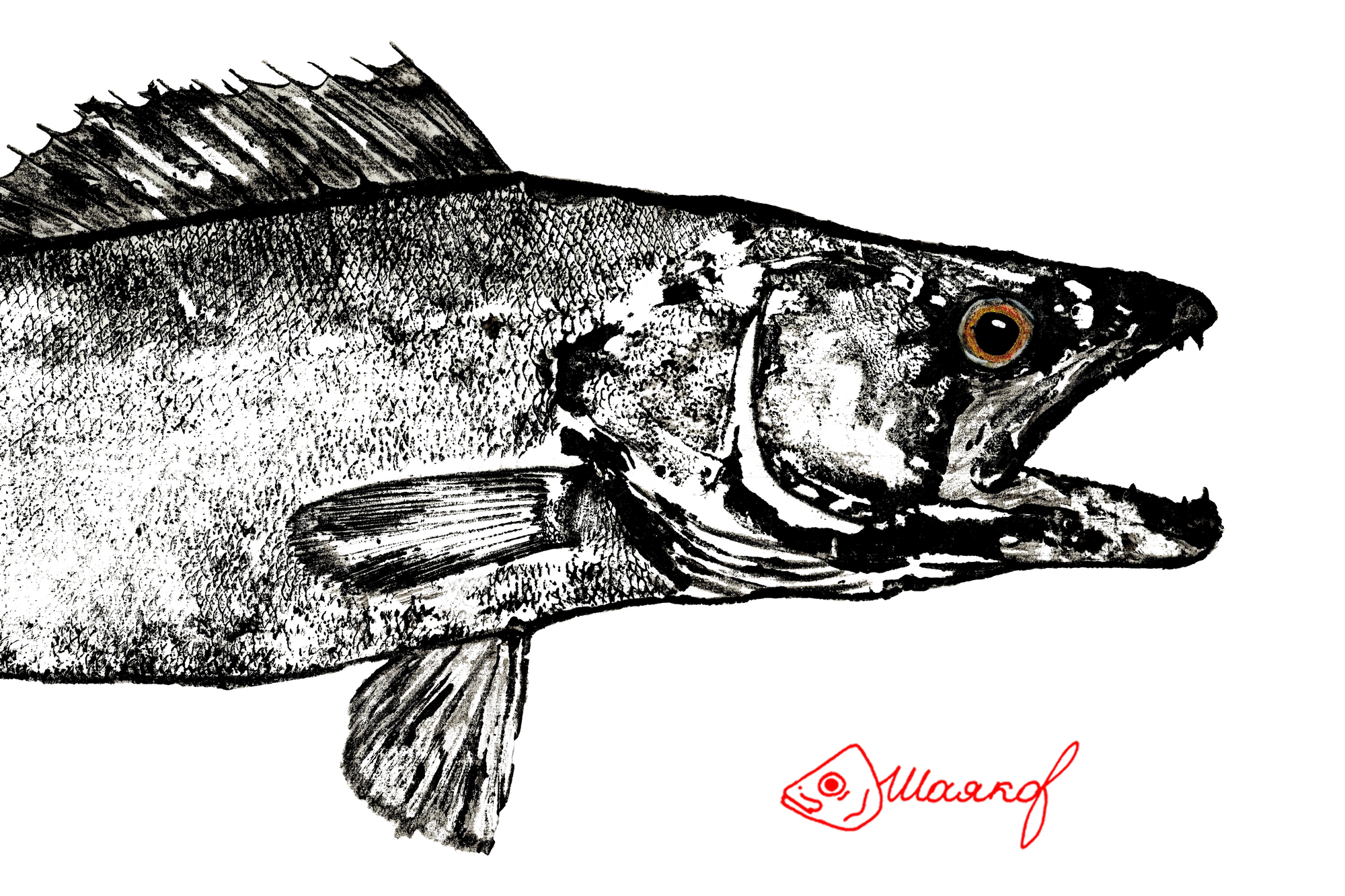 #рисуемрыбу#walley#Судак#гётаку#gyotaku#японскоетрадиционноеискуство#fish#рыбасудак#рыба#рисунокрыбы#принтрыб#ink#подарокнановыйгод#чтоподаритьна23февраля#рыбак#что подарить рыбаку