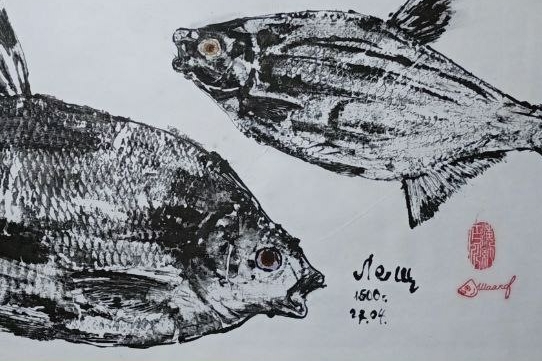 #fishingtravel #fishing #instafishing #instafish #feeder #feederfishing #bream #bigfish #фидер #ловлянафидер #лещ #ловлялеща